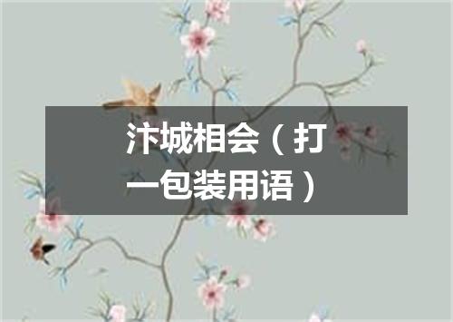 汴城相会（打一包装用语）