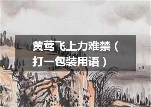 黄莺飞上力难禁（打一包装用语）