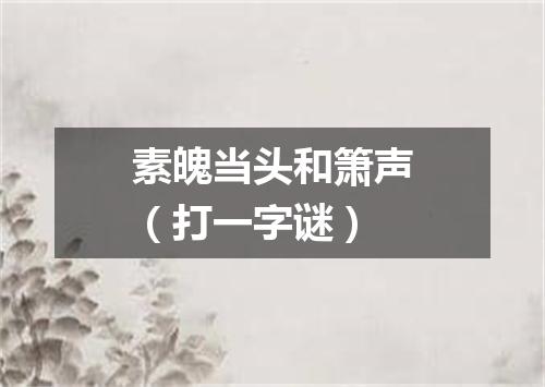 素魄当头和箫声（打一字谜）