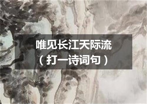 唯见长江天际流（打一诗词句）
