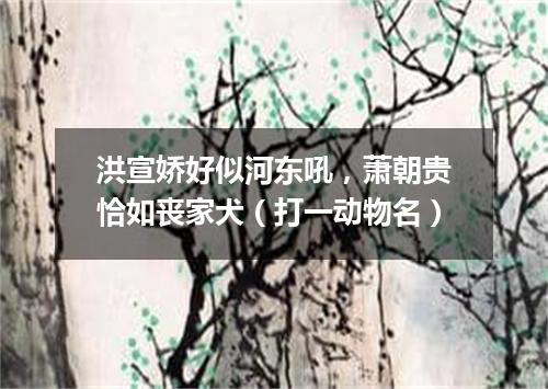 洪宣娇好似河东吼，萧朝贵恰如丧家犬（打一动物名）