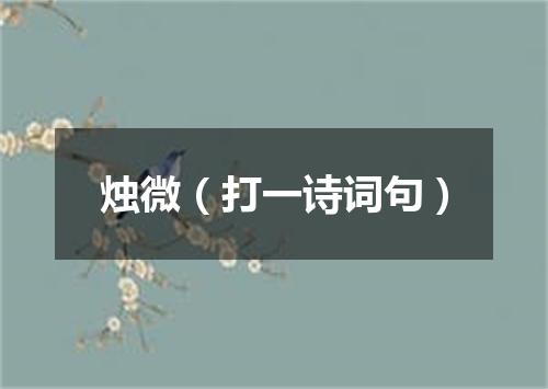 烛微（打一诗词句）