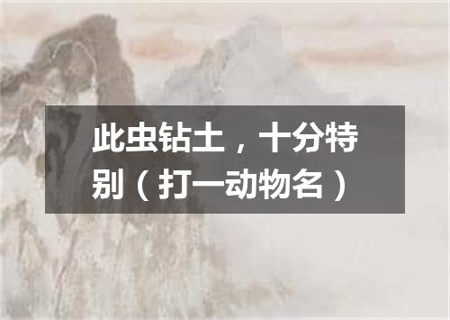 此虫钻土，十分特别（打一动物名）