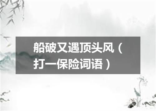船破又遇顶头风（打一保险词语）