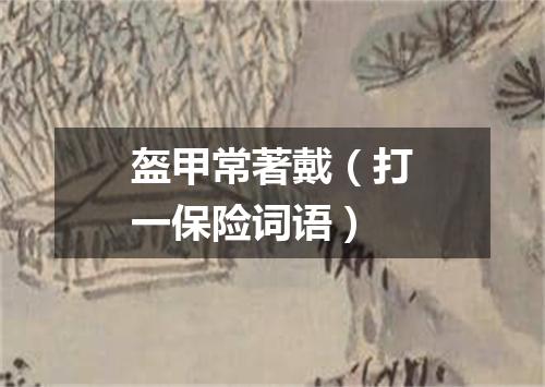 盔甲常著戴（打一保险词语）