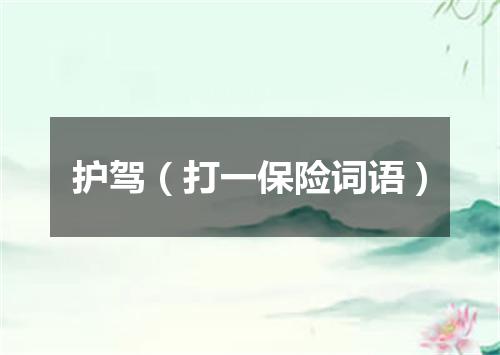护驾（打一保险词语）