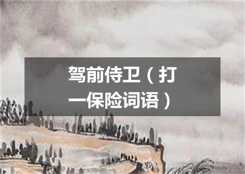 驾前侍卫（打一保险词语）