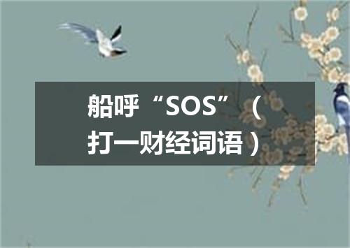 船呼“SOS”（打一财经词语）