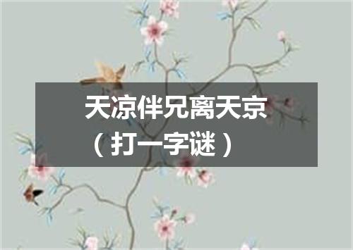 天凉伴兄离天京（打一字谜）