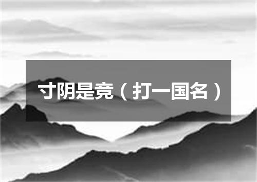 寸阴是竞（打一国名）