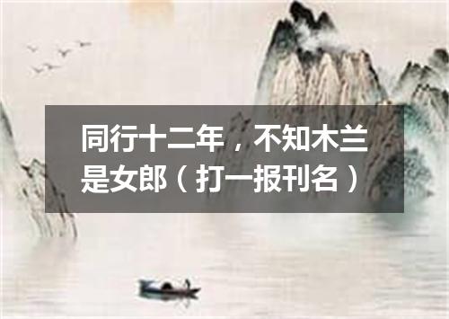 同行十二年，不知木兰是女郎（打一报刊名）