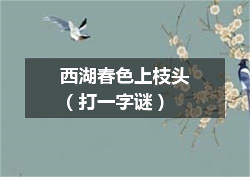 西湖春色上枝头（打一字谜）