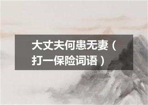 大丈夫何患无妻（打一保险词语）