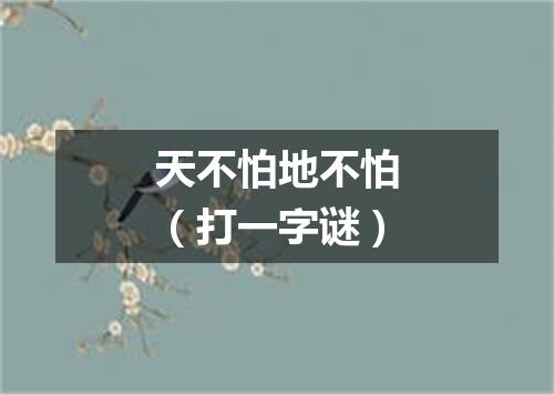 天不怕地不怕（打一字谜）