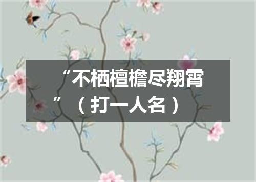 “不栖檀檐尽翔霄”（打一人名）