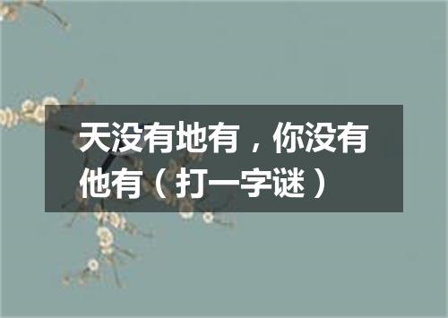 天没有地有，你没有他有（打一字谜）