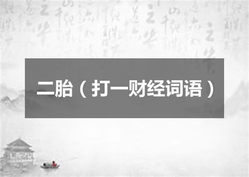 二胎（打一财经词语）