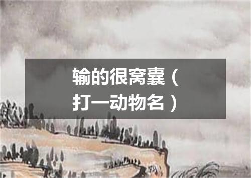 输的很窝囊（打一动物名）