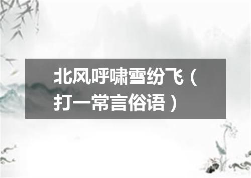 北风呼啸雪纷飞（打一常言俗语）