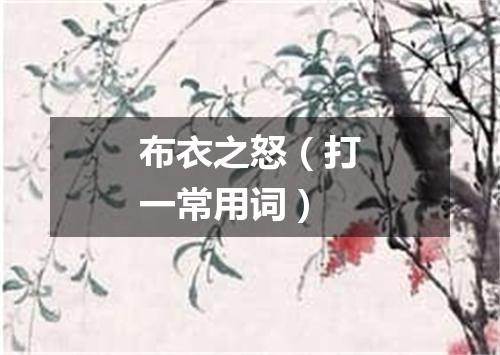 布衣之怒（打一常用词）