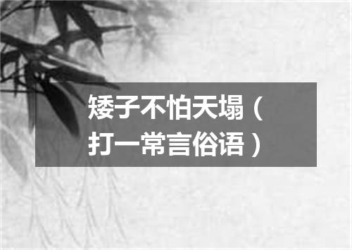 矮子不怕天塌（打一常言俗语）