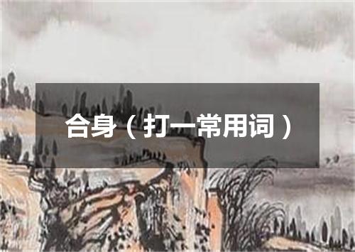合身（打一常用词）