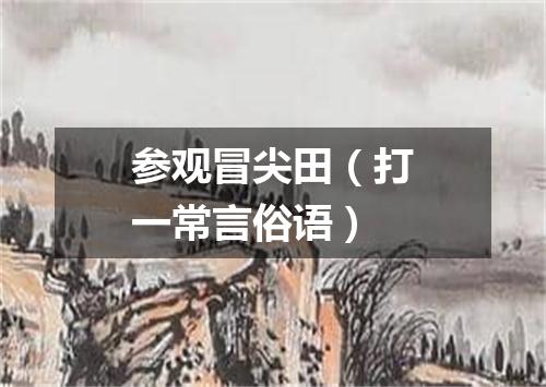参观冒尖田（打一常言俗语）