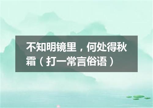 不知明镜里，何处得秋霜（打一常言俗语）