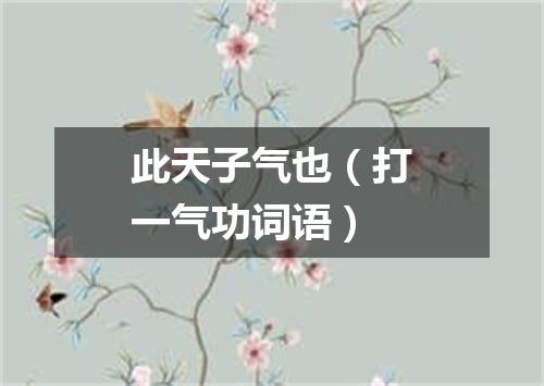 此天子气也（打一气功词语）