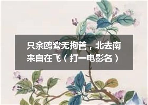 只余鸥鹭无拘管，北去南来自在飞（打一电影名）