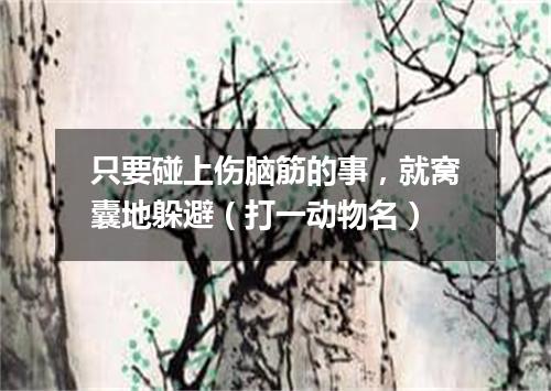 只要碰上伤脑筋的事，就窝囊地躲避（打一动物名）