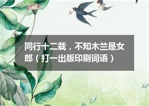 同行十二载，不知木兰是女郎（打一出版印刷词语）