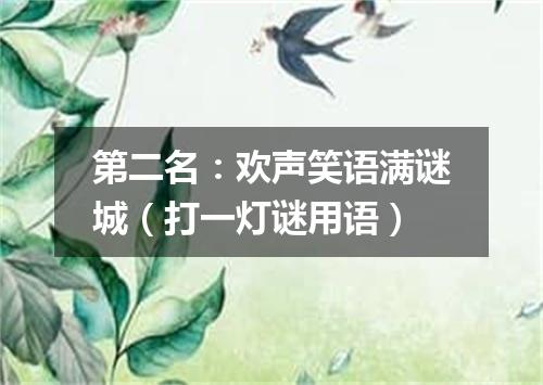 第二名：欢声笑语满谜城（打一灯谜用语）