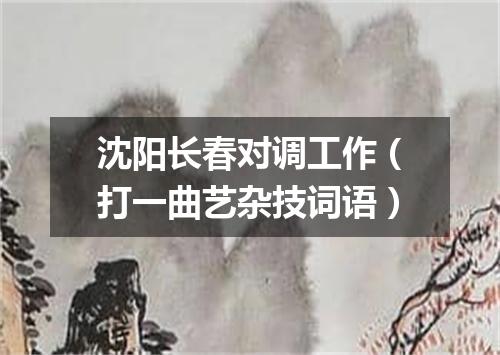 沈阳长春对调工作（打一曲艺杂技词语）