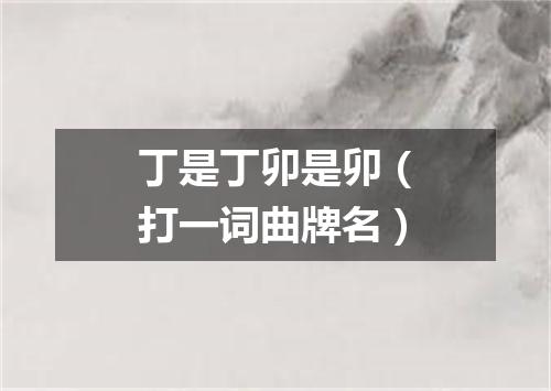 丁是丁卯是卯（打一词曲牌名）
