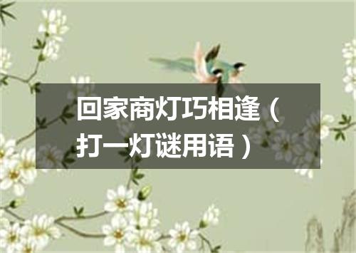 回家商灯巧相逢（打一灯谜用语）