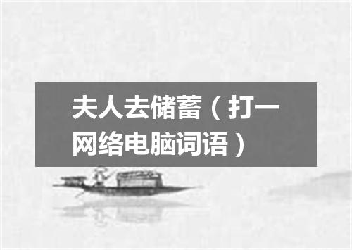 夫人去储蓄（打一网络电脑词语）