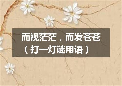 而视茫茫，而发苍苍（打一灯谜用语）