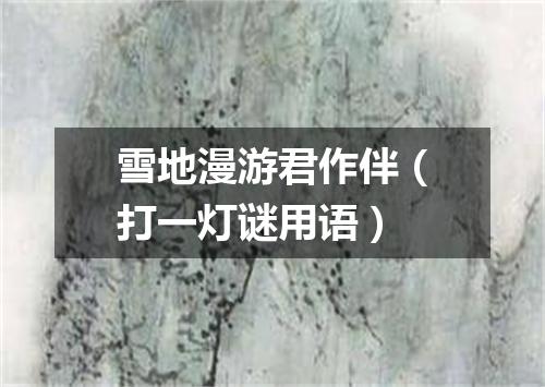 雪地漫游君作伴（打一灯谜用语）