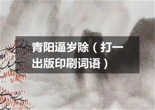青阳逼岁除（打一出版印刷词语）