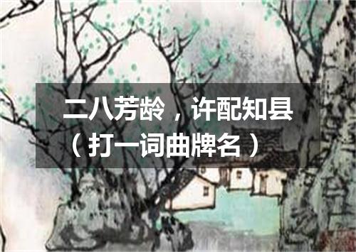 二八芳龄，许配知县（打一词曲牌名）