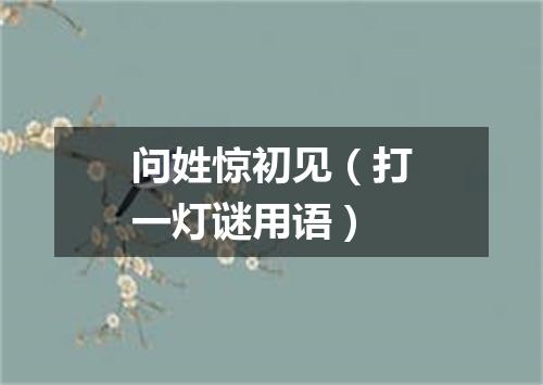 问姓惊初见（打一灯谜用语）