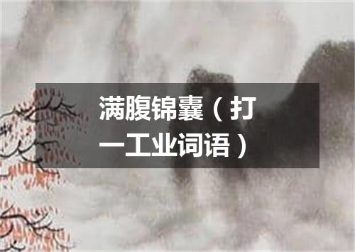 满腹锦囊（打一工业词语）