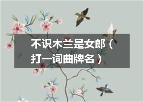 不识木兰是女郎（打一词曲牌名）