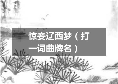 惊妾辽西梦（打一词曲牌名）