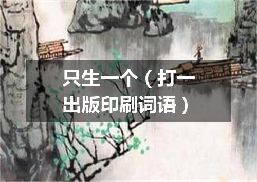 只生一个（打一出版印刷词语）
