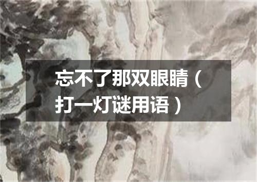 忘不了那双眼睛（打一灯谜用语）