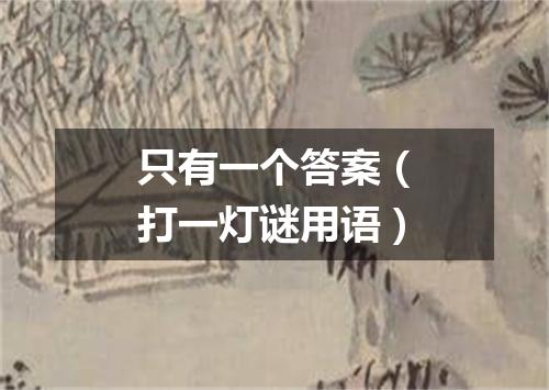 只有一个答案（打一灯谜用语）