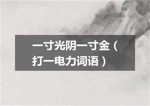 一寸光阴一寸金（打一电力词语）