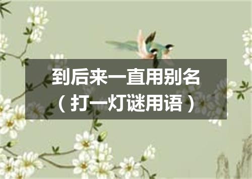 到后来一直用别名（打一灯谜用语）